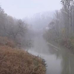 Během honu na divočáky u Odry zemřel muž. Případ vyšetřuje policie