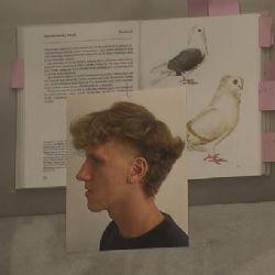 Co si myslí divocí koně a jak se ostříhat na holuba. Zvířecí zpravodajství dává hlas ostravské fauně