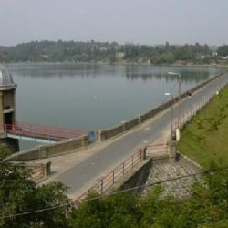 Hygienici zakázali koupání v Plumlovské přehradě, obsahuje hodně sinic