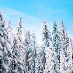 Krkonošské hřebeny pokryl sníh, poprvé po létě sněžilo i v Jeseníkách