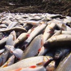 Novela vodního zákona reaguje na Bečvu. Vládou schválený návrh řeší kompetence i monitoring