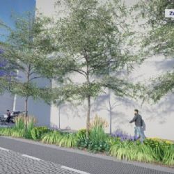 Ostrava zavede třicítku v ulici Přemyslovců, promění se v zelený bulvár s příjemným klimatem