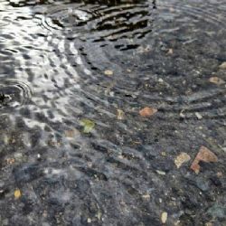 Zmocněnec firmy Energoaqua v závěrečné řeči odmítl vinu za otravu Bečvy