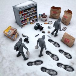 Alarm vystopoval zloděje: Pootevřené dveře, stopa ve sněhu a notebook