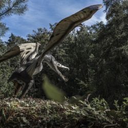 7 tipů, kam na výlet v Ostravě a okolí