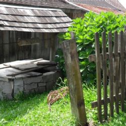 Jak vybrat ideální čerpadlo do studny