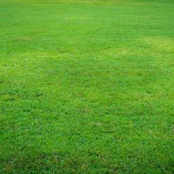 Budoucnost průmyslové zóny v Dolní Lutyni je nejistá: Investor vyčkává