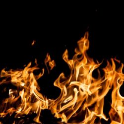 Novela zákona nově zakazuje pálení bioodpadu