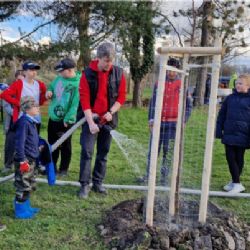 Paskov ožívá díky novým stromům a keřům
