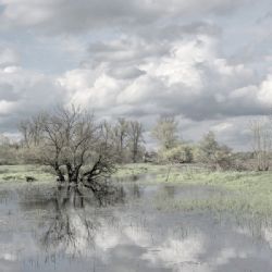 Začátek vylepšení protipovodňových zdí