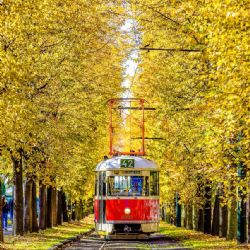 Zrušení dvou velkých tendrů v DP Ostrava