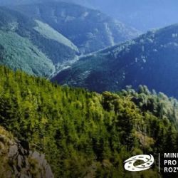 Vouchery zvedly turistiku v Jeseníkách: 11% růst i po povodních