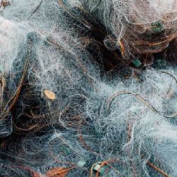 Želákovi obnovili povodněmi zničenou rybářskou baštu díky pomoci vězňů