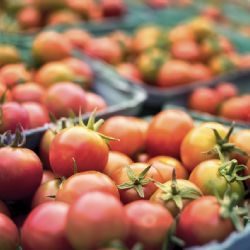 Blíží se podzimní sbírka potravin