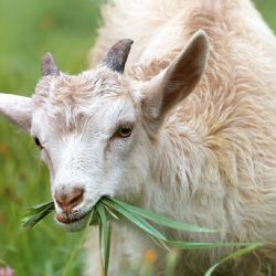 Fajne léto na kosárně proběhne již tento víkend