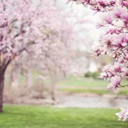 Hlasujte pro projekty z našeho kraje