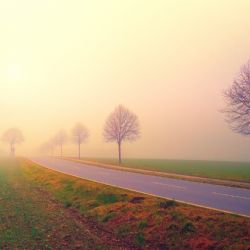 Krajské silnice letos spolknou jednu a čtvrt miliardy korun