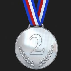 Mladí sportovci z Moravskoslezského kraje vybojovali dvě desítky olympijských medailí. Mezi kraji zazářili na stříbrné pozici