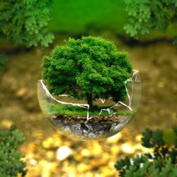 Na pozemku střední školy stojí smart ekodům