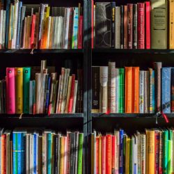 Regionální knihovna Karviná je letos nejlepší knihovnou v kraji, získala ocenění Knihovnická K2