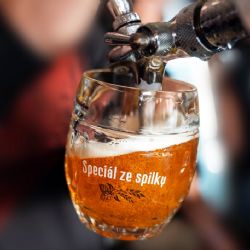 Slavnostní narážení, večer se sládkem i čerstvě stočený pivní speciál