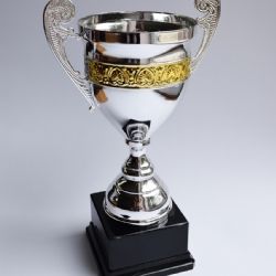 Talentovaní středoškoláci z Moravskoslezského kraje dostali ocenění