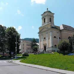 „Vrbno hledá dobrovolníky: Pomoc s ochranou žab“