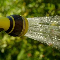 Jarní boom v komunitních zahradách: Roste zájem, ale i čekací listiny