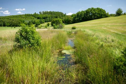 obrázek:Moravskoslezské potoky se vrací k přírodě: zpomalení odtoku a podpora biodiverzity