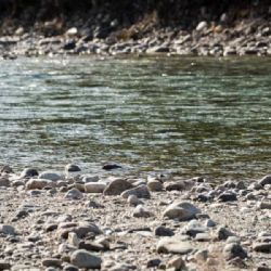 Sucho trápí severní Moravu a Slezsko: Déšť zatím nepomohl